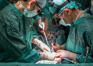 Trapianti, seconda paziente riceve rene maiale negli Usa, operata anche al cuore