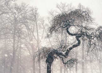 Rischio ghiaccio in tutta la Toscana, temperature in picchiata, codice giallo neve