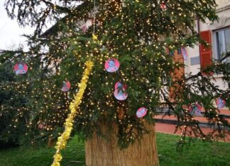 Palline con Hitler sull’albero di Natale a Montemurlo. Il sindaco “Un’offesa per tutta la nostra comunità” albero natale
