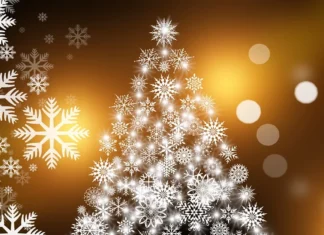 Pranzo di Natale in Toscana, allarme Confesercenti. Cancellato fino al 50% delle prenotazioni nei ristoranti dopo il nuovo Dpcm anti Covid Natale