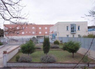 Orti in carcere, a Massa Marittima i detenuti coltivano le piante aromatiche e gli ulivi