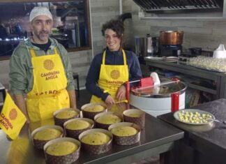 Il primo panettone contadino è pistoiese. Cotto in forno a legna, prodotto solo con ingredienti made in Toscana panettone contadino