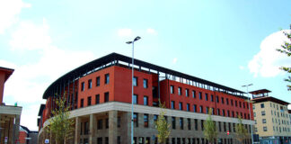 Il bullismo come sintomo di fragilità: l’analisi dello psicoterapeuta Nardone sui numeri dell’emergenza psicologica università firenze