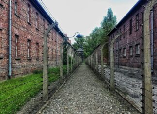 Giorno della Memoria, meeting con le scuole della Toscana tra storie e testimonianze campo di sterminio Auschwitz