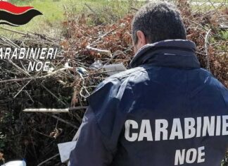 ‘Ndrangheta e rifiuti in Toscana, sequestrati oltre cinque milioni a imprenditore calabrese Carabinikeri NOE