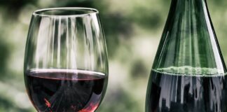 Innovazione in ambito vitivinicolo: l’università di Pisa sperimenta i raggi UV-C per incrementare la qualità delle uve vino
