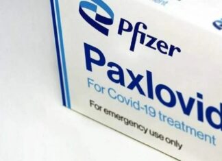 In Toscana arriva il Paxlovid. La pillola anti Covid solo per positivi ad alto rischio Pfizer