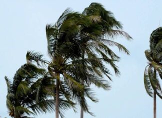 Toscana, continua l’allerta meteo gialla per forti raffiche di vento allerta meteo