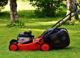 Lucca, valorizzazione di parchi pubblici attrezzati e aree verdi Giardino