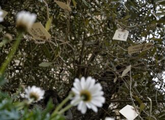 Covid, Firenze commemora i suoi morti. I medici: “Non siamo eroi. Chiediamo condizioni di lavoro adeguate” covid