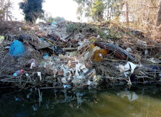 San Piero a Grado, scoperta discarica abusiva sull’argine dell’Arno Ecomafia 2023 in Toscana, Livorno nella top ten nazionale reati