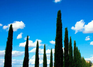 Cinque milioni di euro per rilanciare il turismo in Toscana Toscana turismo