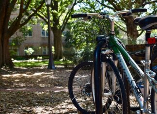 Pisa, visite gratuite nella ex tenuta di Tombolo