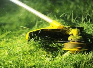 Massa Marittima, si raddoppia lo sforzo per la manutenzione del verde Giardino