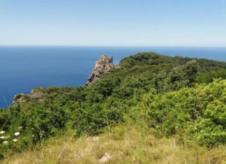 Gorgona, inserimento dei detenuti nel mondo del lavoro Il sindacato NurSind denuncia le condizioni di lavoro degli infermieri nel carcere Isola di Gorgona