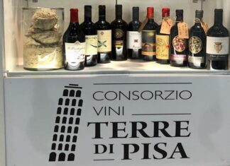 Terre di Pisa Doc, ok alla modifica del disciplinare