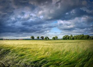 Maltempo in Toscana, codice giallo per vento e mareggiate