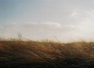 Meteo, codice giallo in Toscana centrale per vento