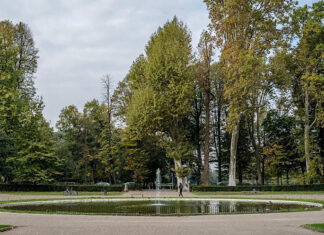 Firenze, vendita abusiva di cibo alle Cascine: maxi sanzione parco pubblico natura verde