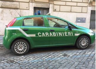 Sesto Fiorentino, denunciati per abbandono di rifiuti Carabinieri forestali