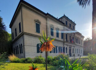 Pisa, boom di visitatori all’Orto e Museo Botanico dell’Università
