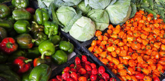Giornata dell’alimentazione: al mercato di San Frediano la rassegna Mangiarsi le parole e gli studenti del Saffi ai fornelli ortaggi frutta verdura