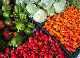 Agricoltura, in Toscana produzione a rischio con stop importazioni da Russia ortaggi frutta verdura