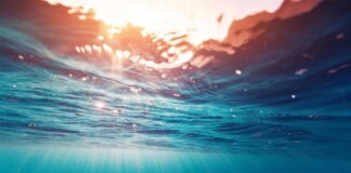 Marzo 2026 il quarto più caldo, temperature del mare quasi record