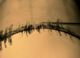 Forte scossa di terremoto a Firenze. Epicentro a Impruneta Sismografo sisma terremoto