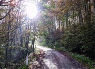 Per la messa in sicurezza stradale del Pratomagno 1,8 milioni di euro