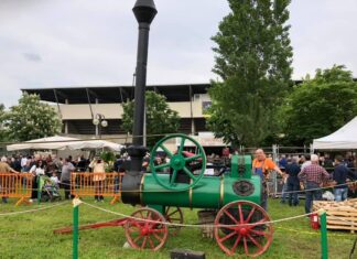 Castelfiorentino, torna Agricola. La festa dell’agricoltura fiera agricola agricoltura ambiente