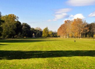 Firenze, lite e colpi di pistola alle Cascine. Un uomo in fuga