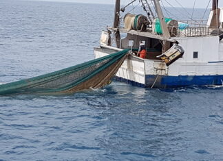 La Toscana applaude la legge Salvamare ecologia salvamare ambiente