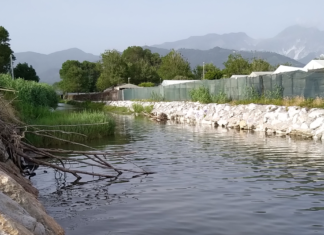 Donna trovata uccisa vicino a un torrente a Marinella di Sarzana