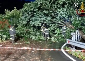 Tromba d’aria in Lunigiana: black out, allagamenti, alberi caduti