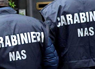 Lucca, sequestrate venti tonnellate di alimenti etnici I carabinieri di Bottegone e i Nas di Firenze hanno scoperto struttura abusiva per anziani