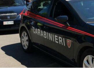 Massa, 34enne ucciso da pirata della strada. Donna si costituisce