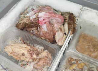 Prato, mamma mangia pesce crudo: figlio nasce con meningite