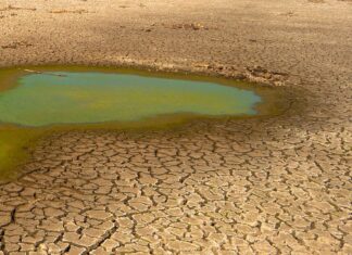 Siccità, la Toscana proclama lo stato di emergenza