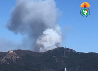 Incendio all’Isola d’Elba. Fiamme spinte dal vento