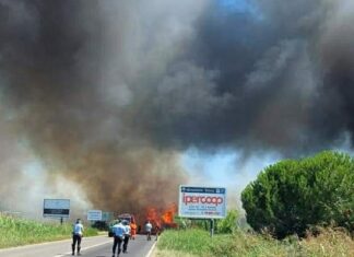 Maxi incendio a Grosseto. Evacuato albergo. Fiamme alimentate da vento