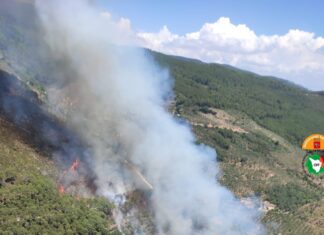 Incendi a Vicopisano e a Campoforte di Lucignano
