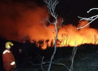 Massarosa, mille sfollati. La Procura di Lucca apre un fascicolo per incendio doloso