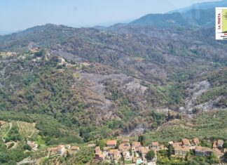 Massarosa, rimane la cenere. Incendio doloso