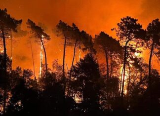 Massarosa, 500 sfollati e 800 ettari in fumo. Venti incendi in un giorno in Toscana