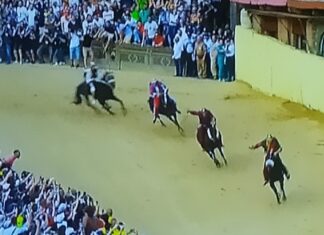 Palio di Siena: Oipa attacca, il sindaco risponde