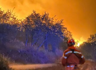 Incendi estate 2022, Toscana chiede riconoscimento eventi eccezionali