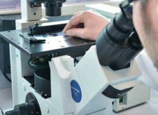 Covid ‘vaccinazione preventiva’ anti cancro, lo studio