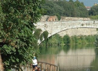 Cantagallo, pesci morti nel fiume Bisenzio. Ipotesi rottura fognatura
