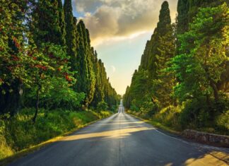 Bolgheri, tentata estorsione al Sassicaia di Incisa della Rocchetta